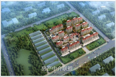 实验中学二小学附近金汇街证满2年送储藏室